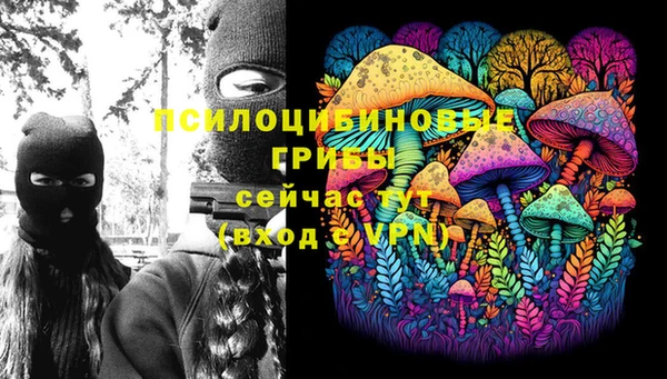 винт Чекалин